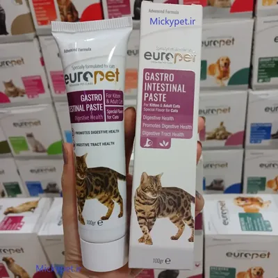 خمیر گربه گاسترو اینتستینال (روده) 100 گرم